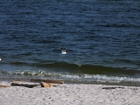 Children made teter toter from driftwood.