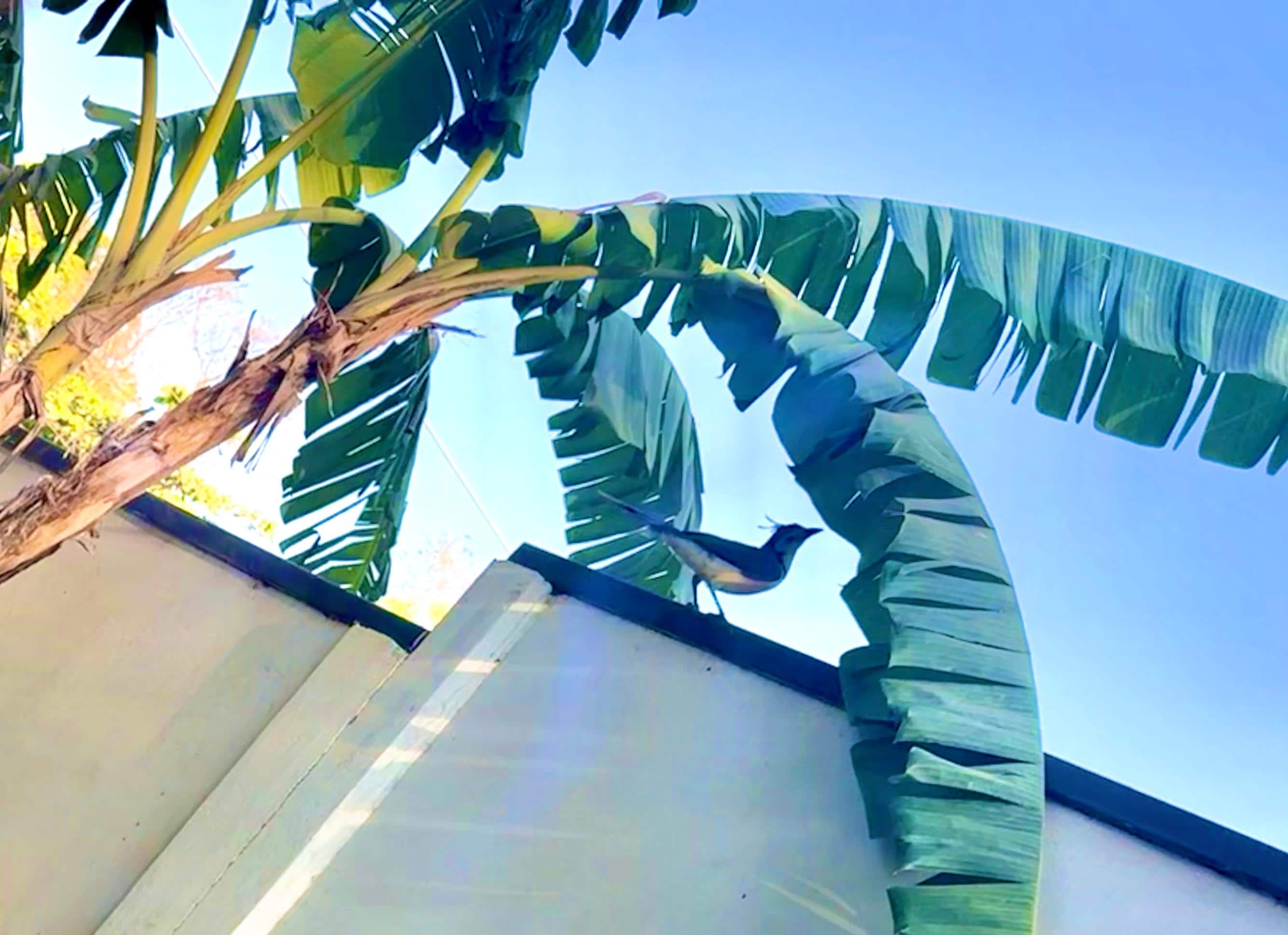 Early morning coffee with a new friend