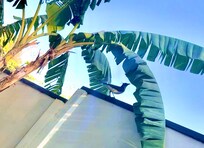 Early morning coffee with a new friend