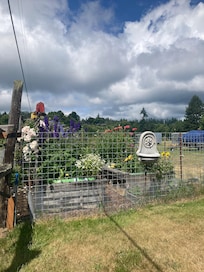 Garden on property