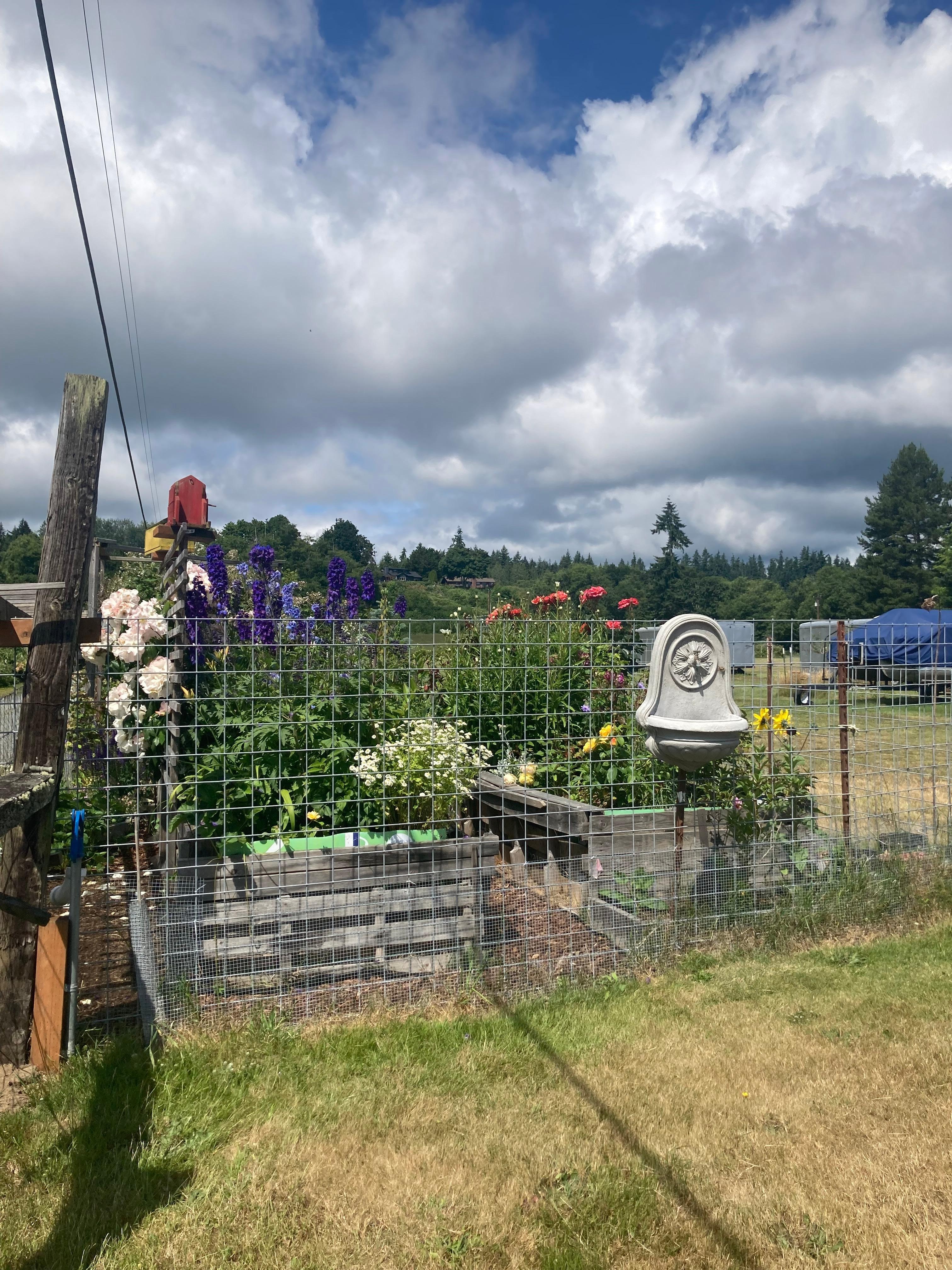 Garden on property