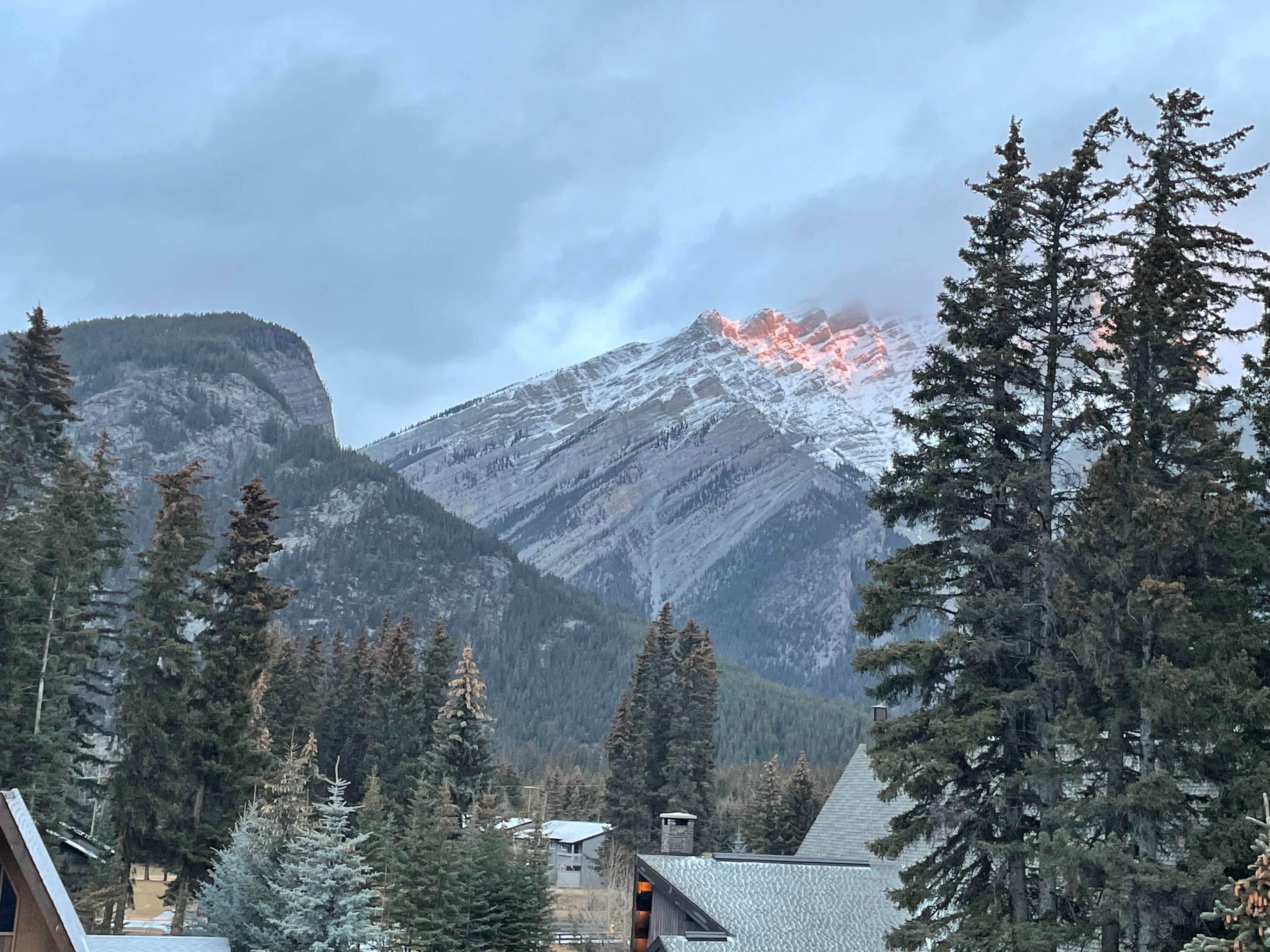 View from our Premium King Loft