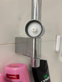 missing. this is the one that hold the shower
