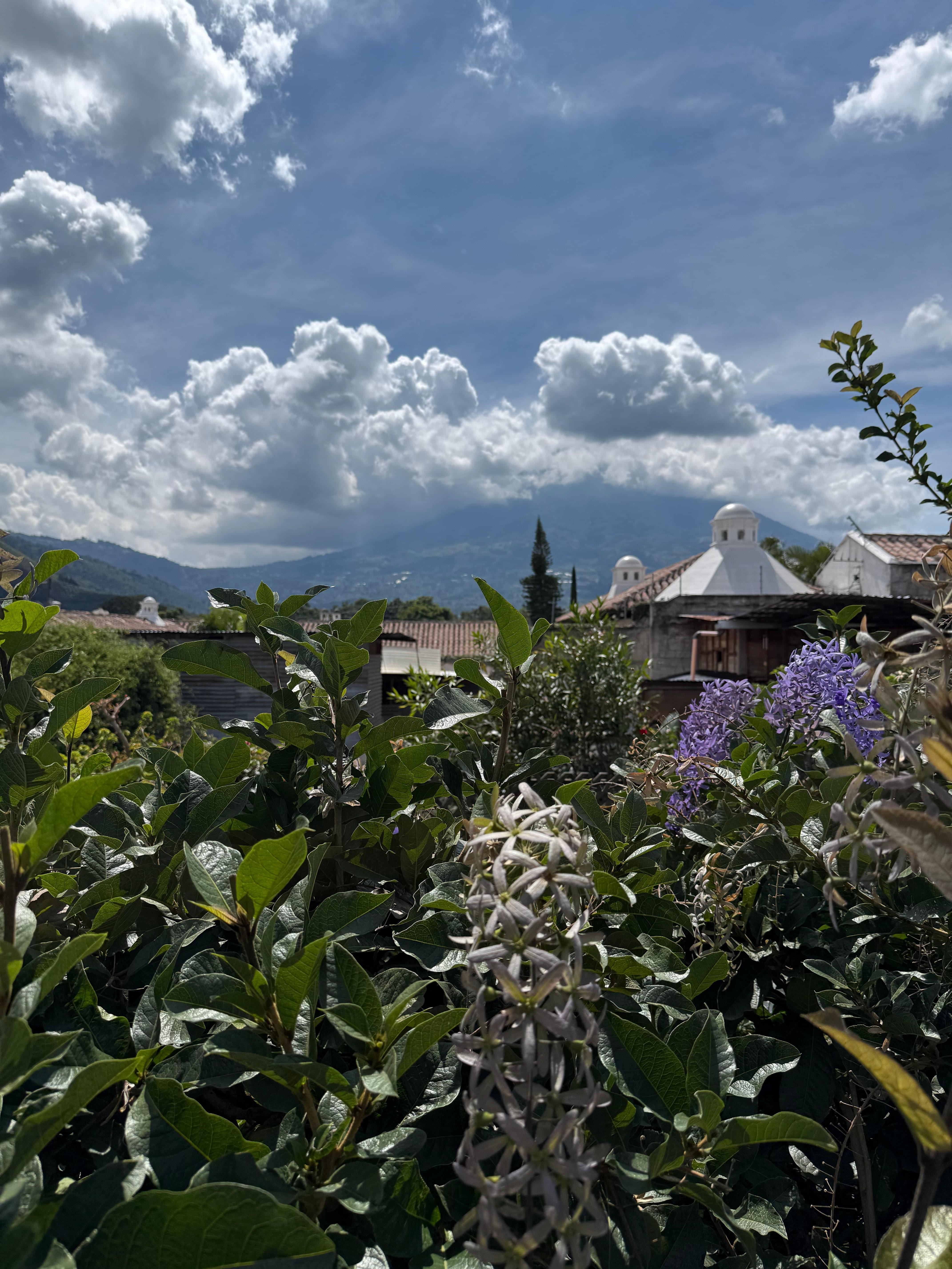 View from the rooftop