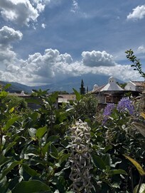 View from the rooftop