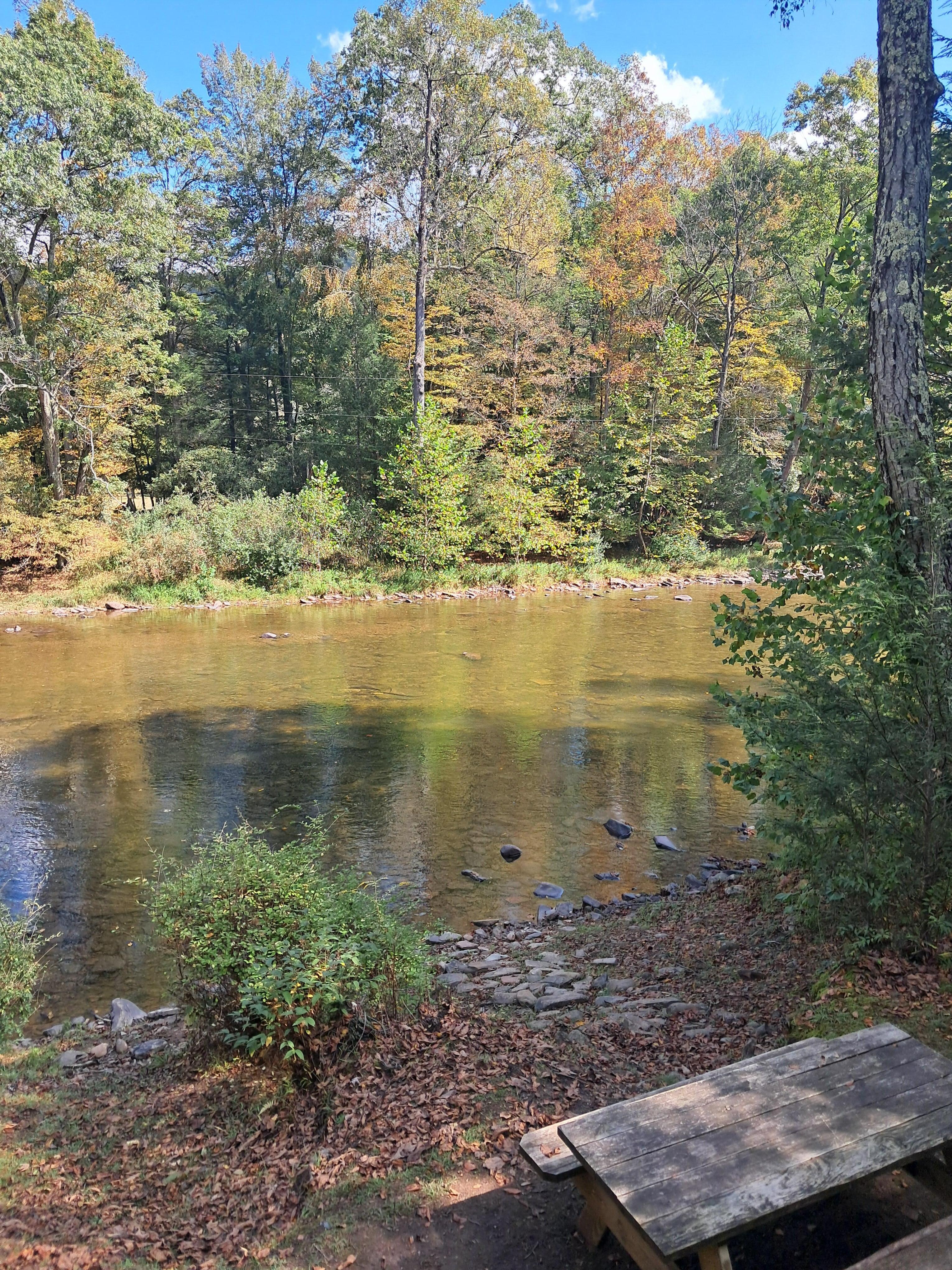 View from the back porch