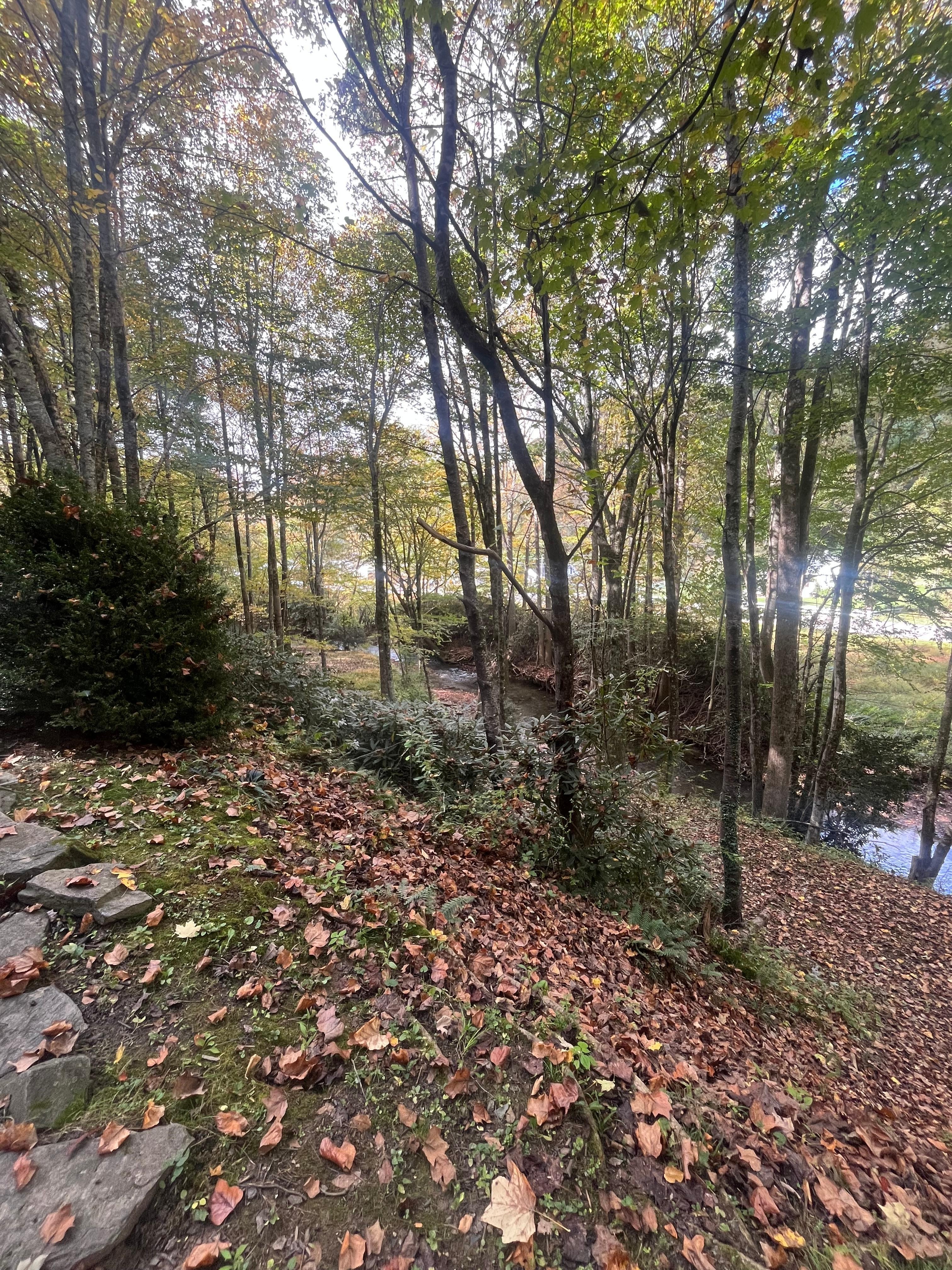 Exploring the property 