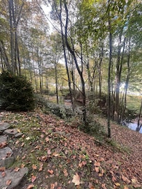 Exploring the property