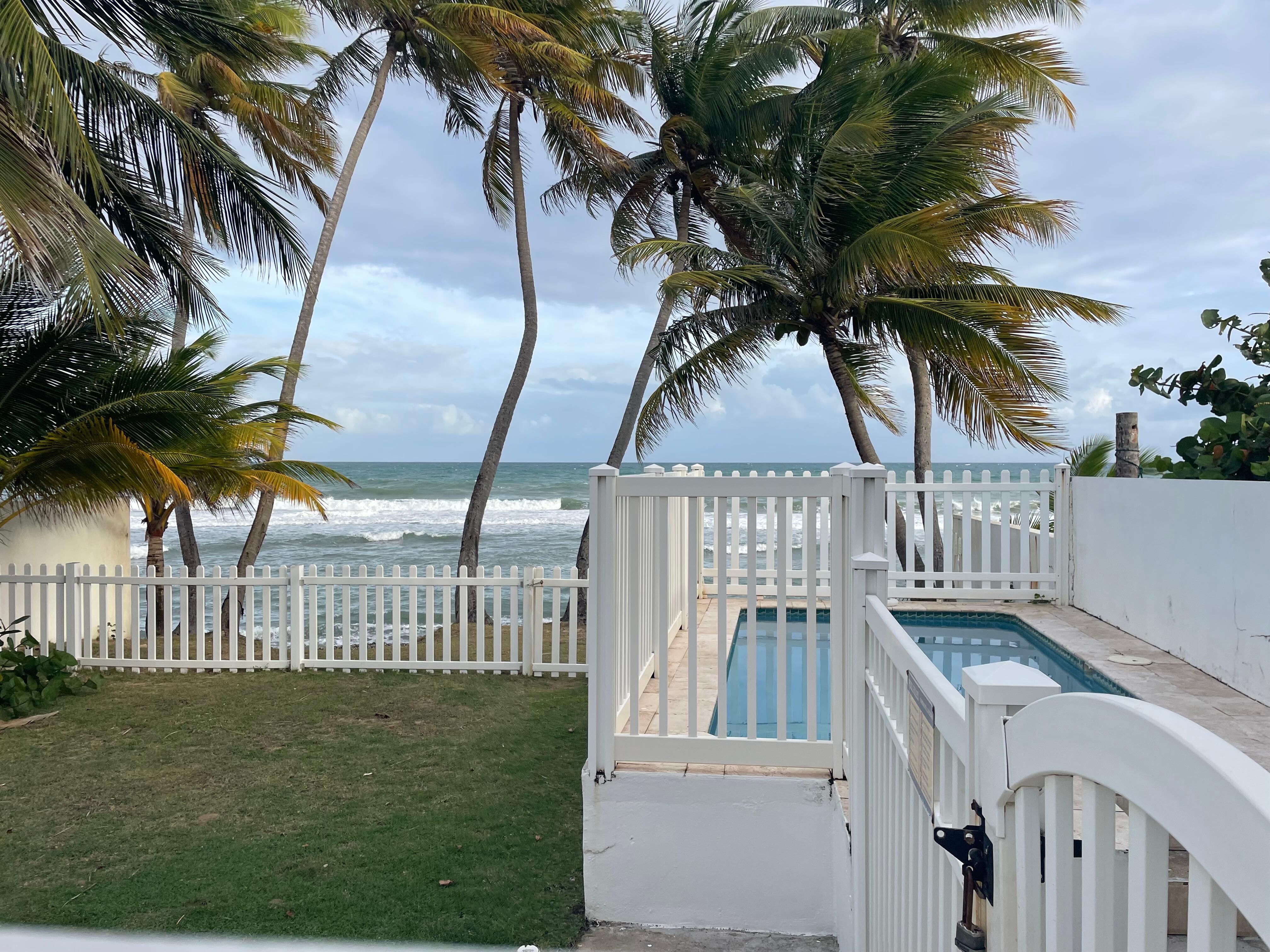 View from the back deck