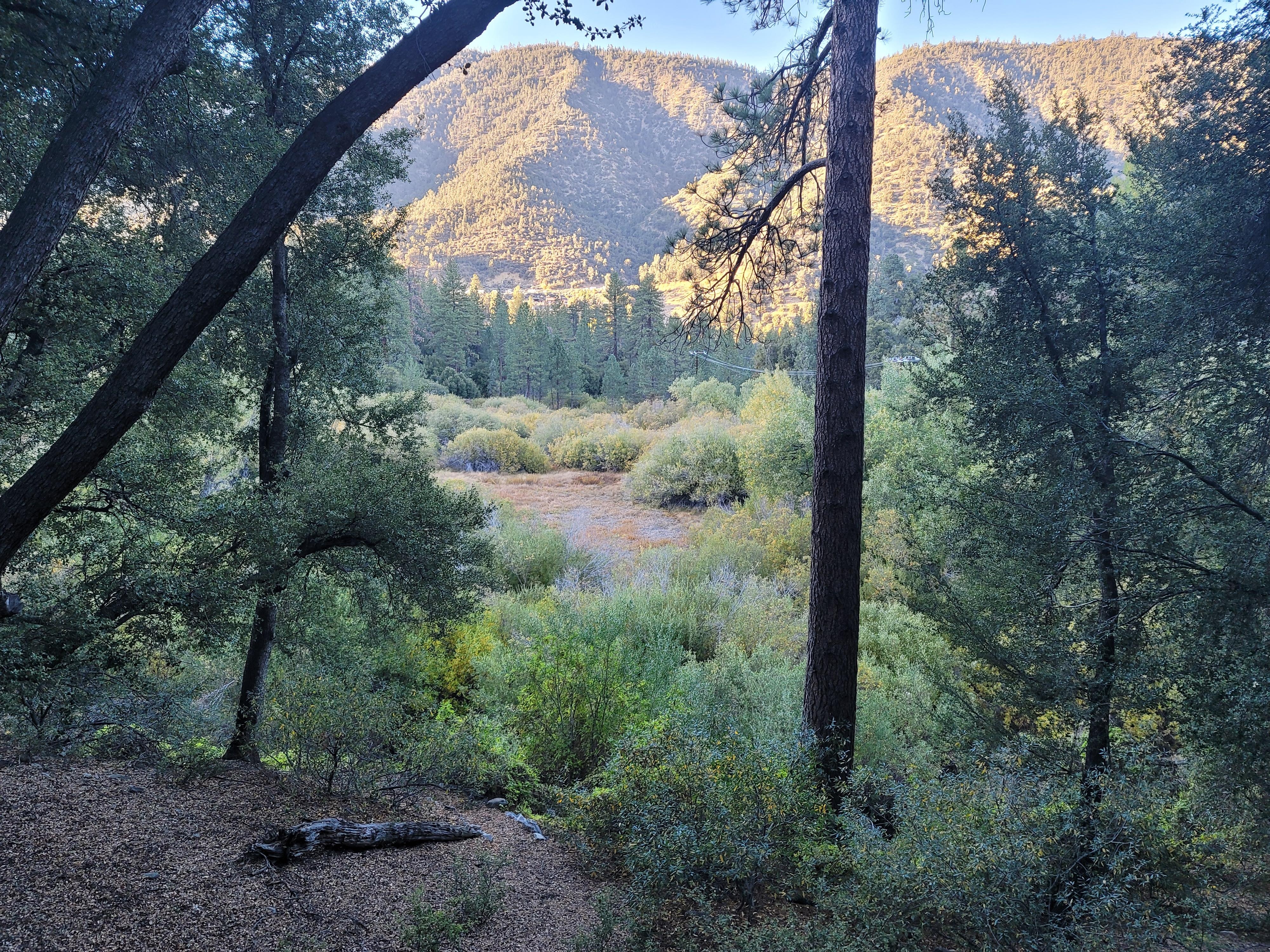 View straight out the sliding glass doors