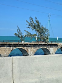 Fred the tree on 7 mile bridge.