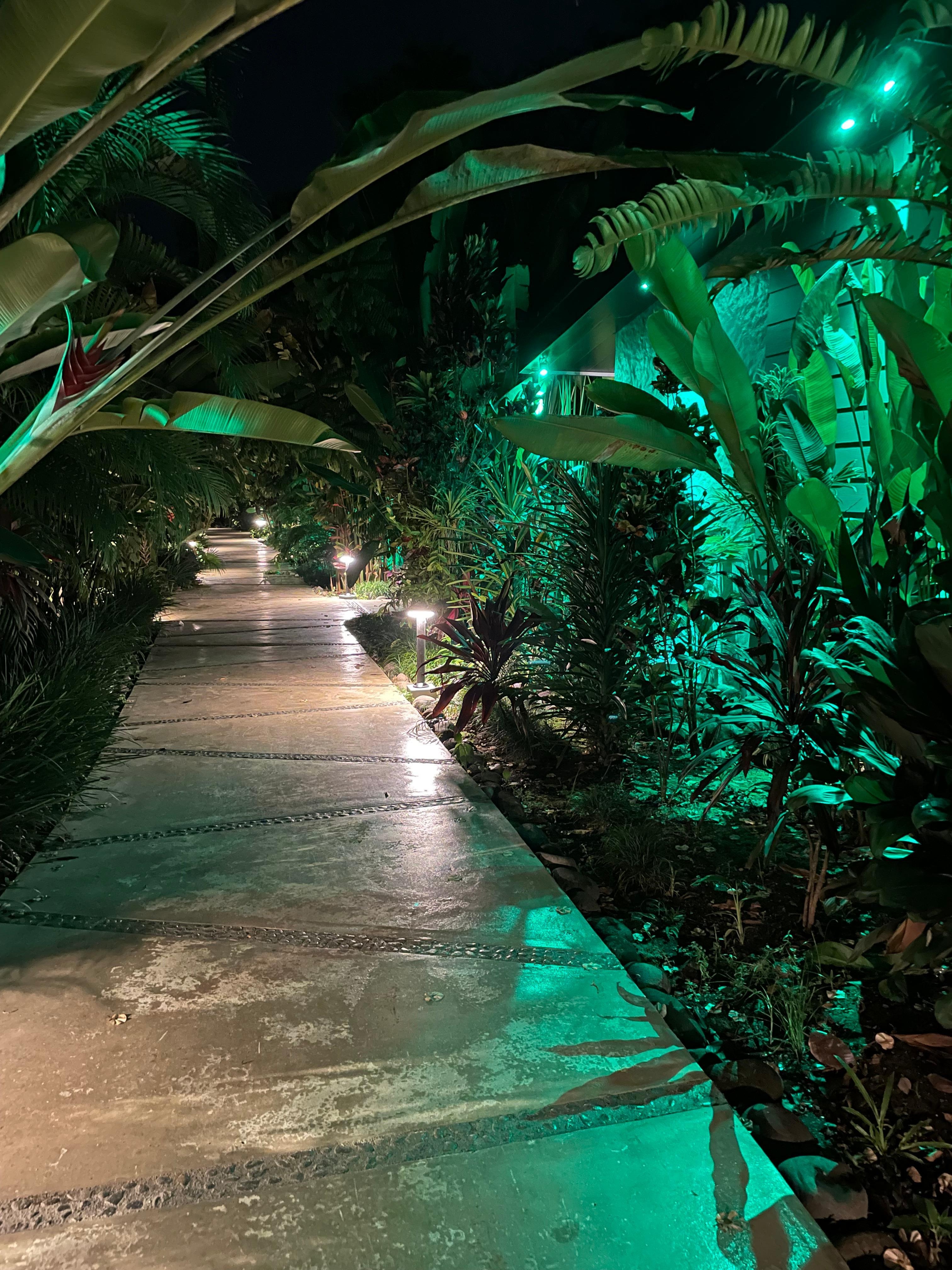 Walk way to your room!