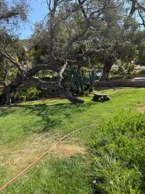 Peaceful area, one of many.