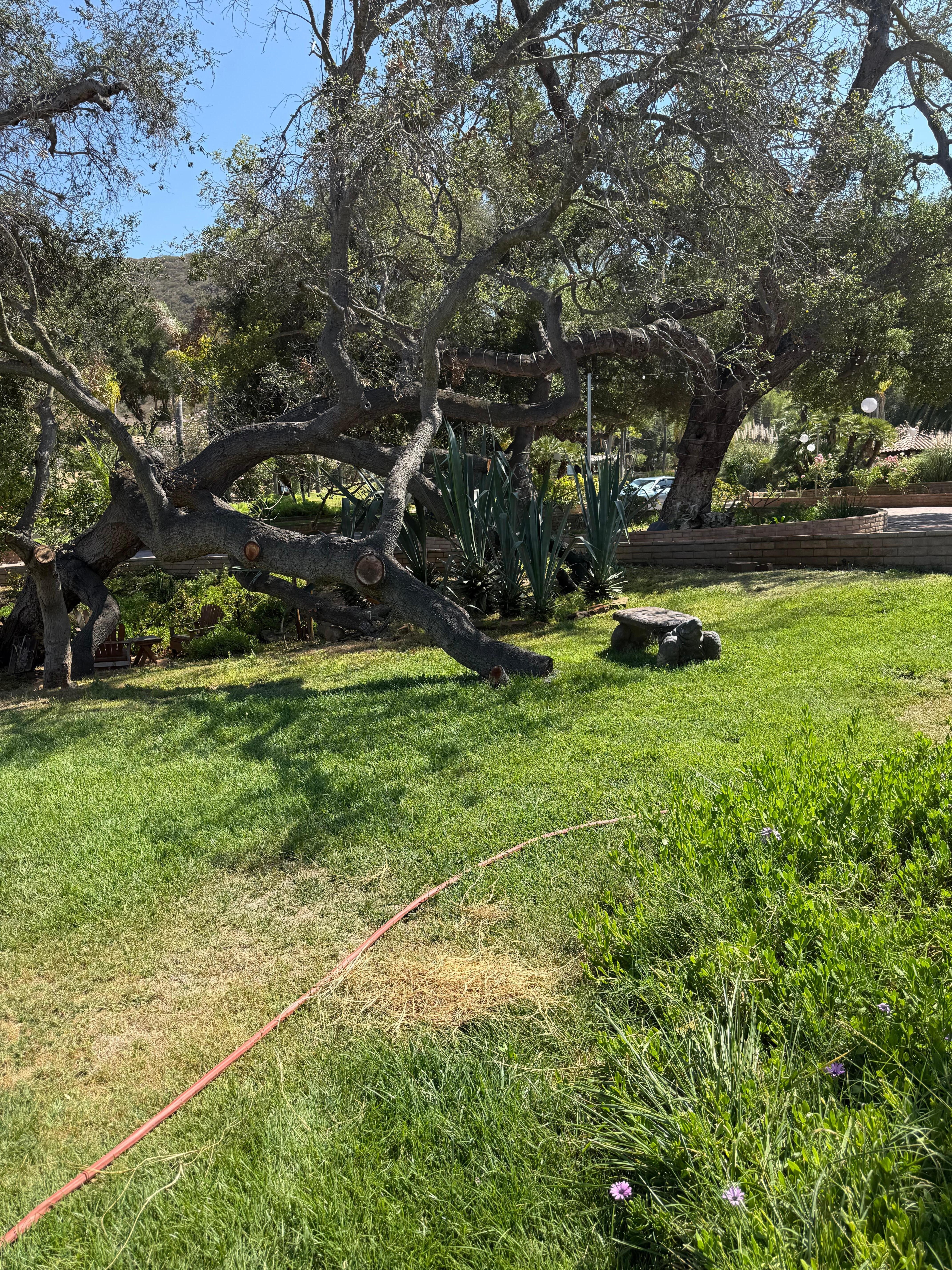 Peaceful area, one of many. 