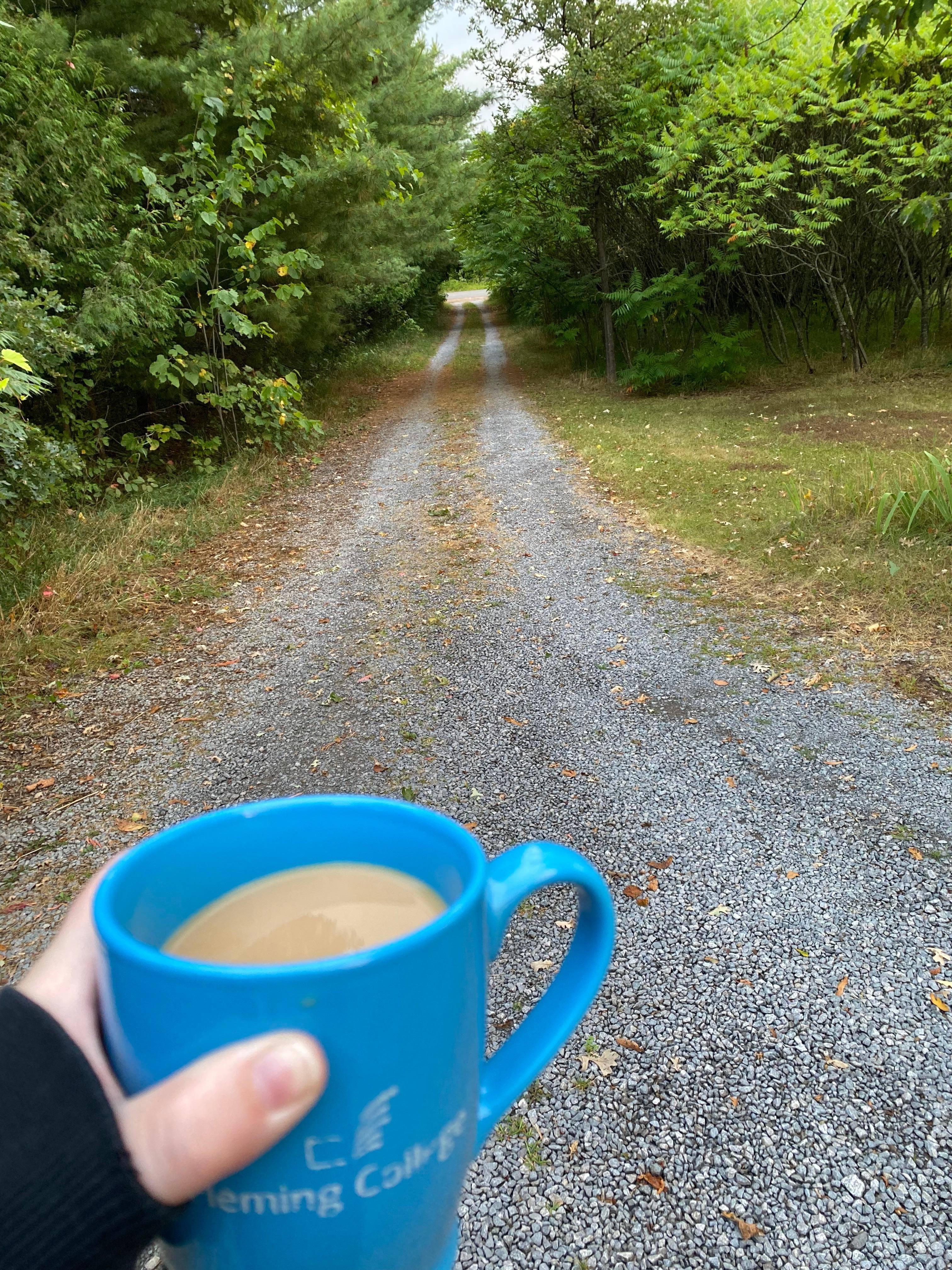 Driveway down to the water