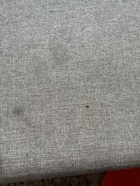 Sofa in the room, stained