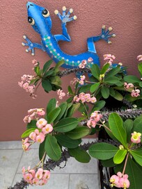 Pool wall