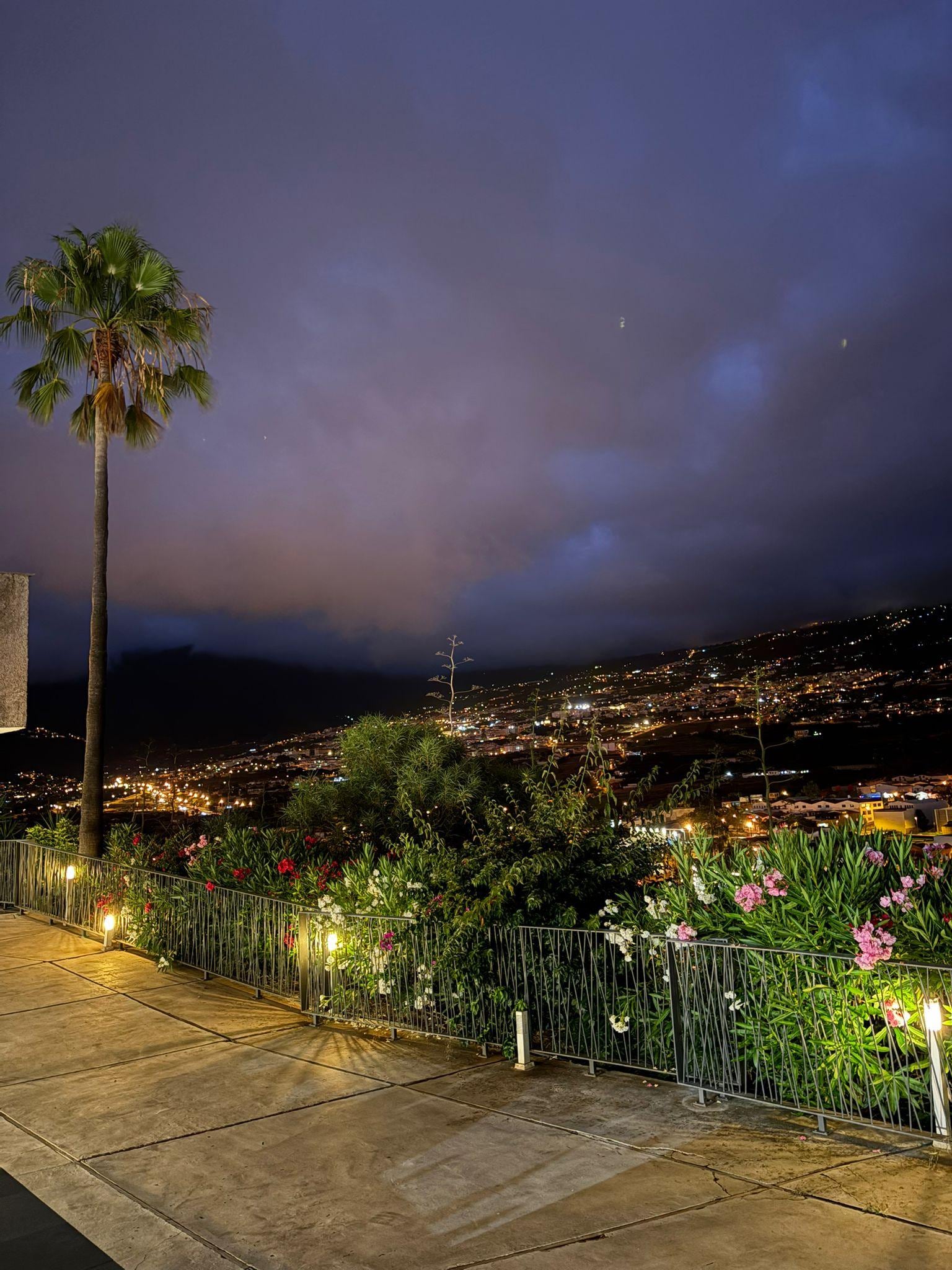 Espace extérieur arboré 