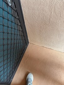 Watch out for the newts who want to move in! He’s a small one.