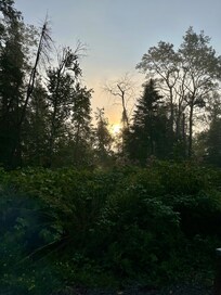 Sunrise by cabin.