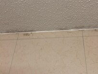 Mold
