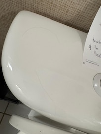 Hair on top of the toilet when we got in the room.