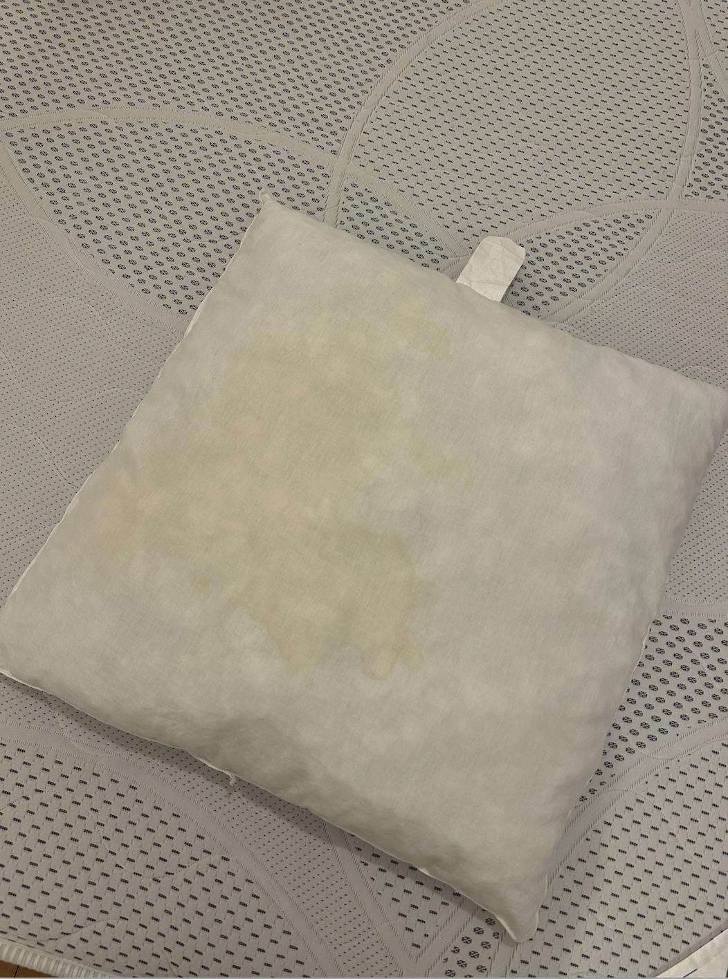 Stained pillow for sleeper sofa with no pillowcase provided 