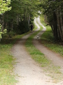 The driveway to the road.