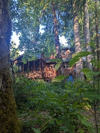 Standing at the river and looking at the cabin