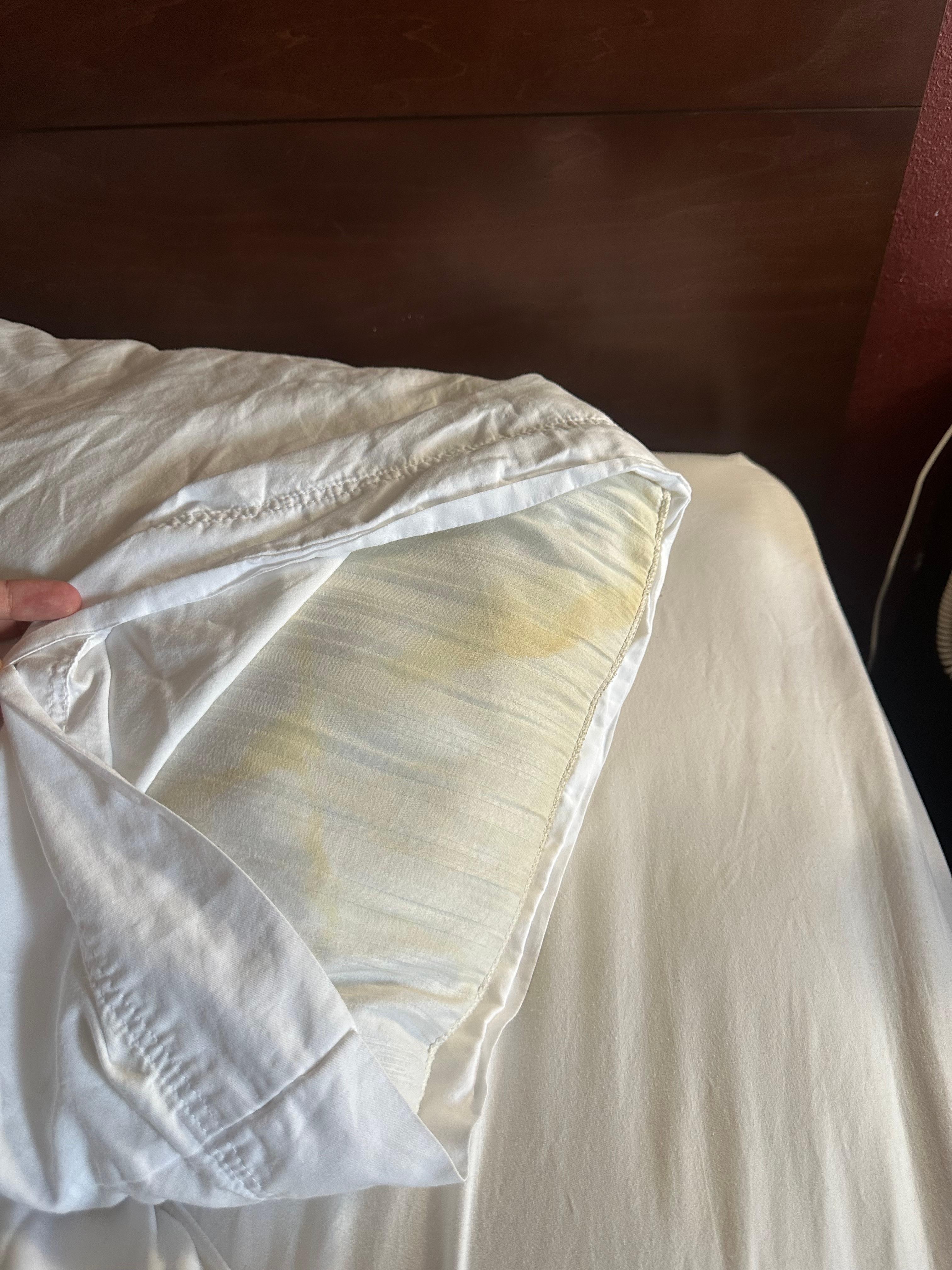 2 of our 4 pillows had these stains. 