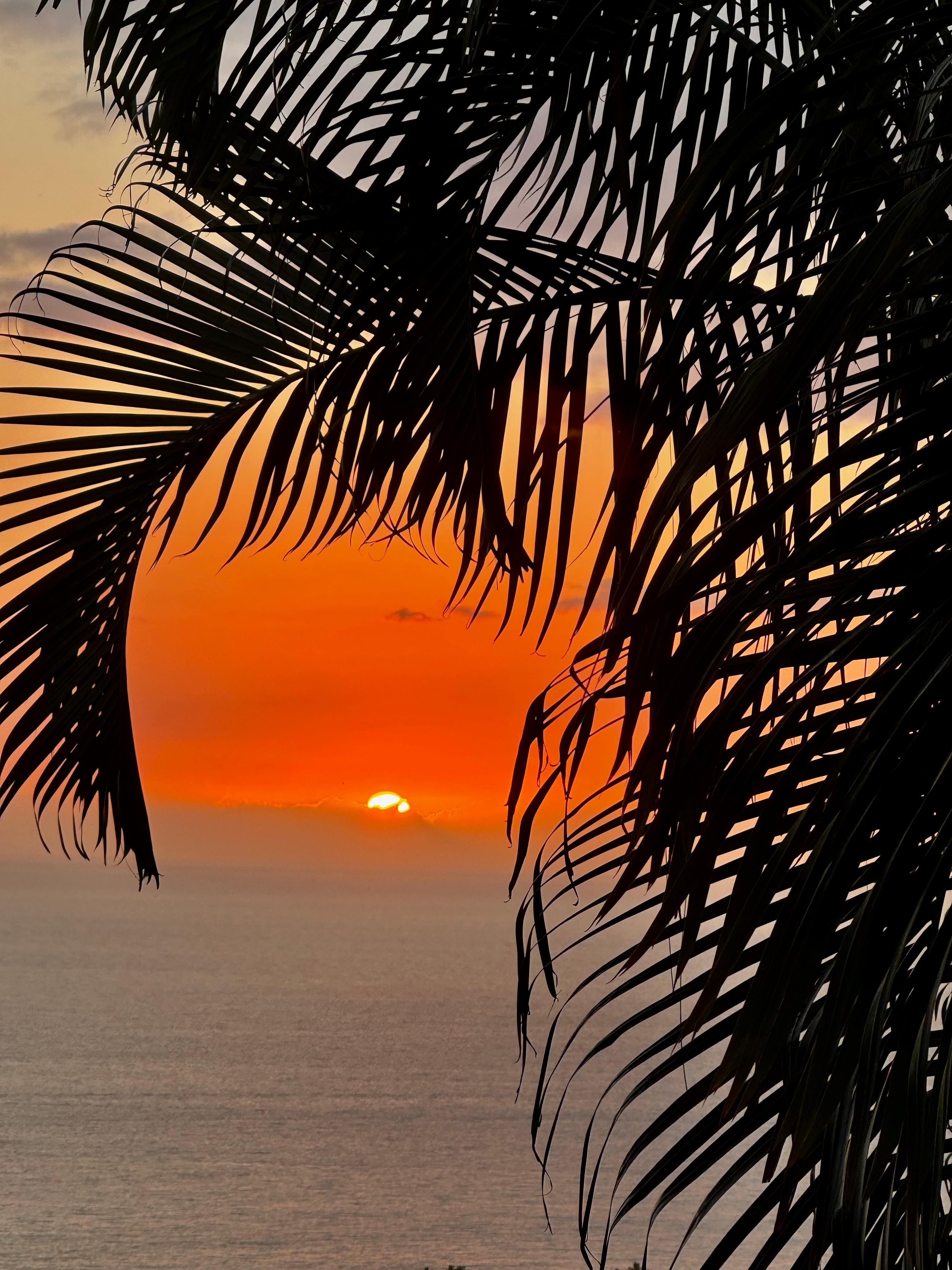 Great sunsets each night. 