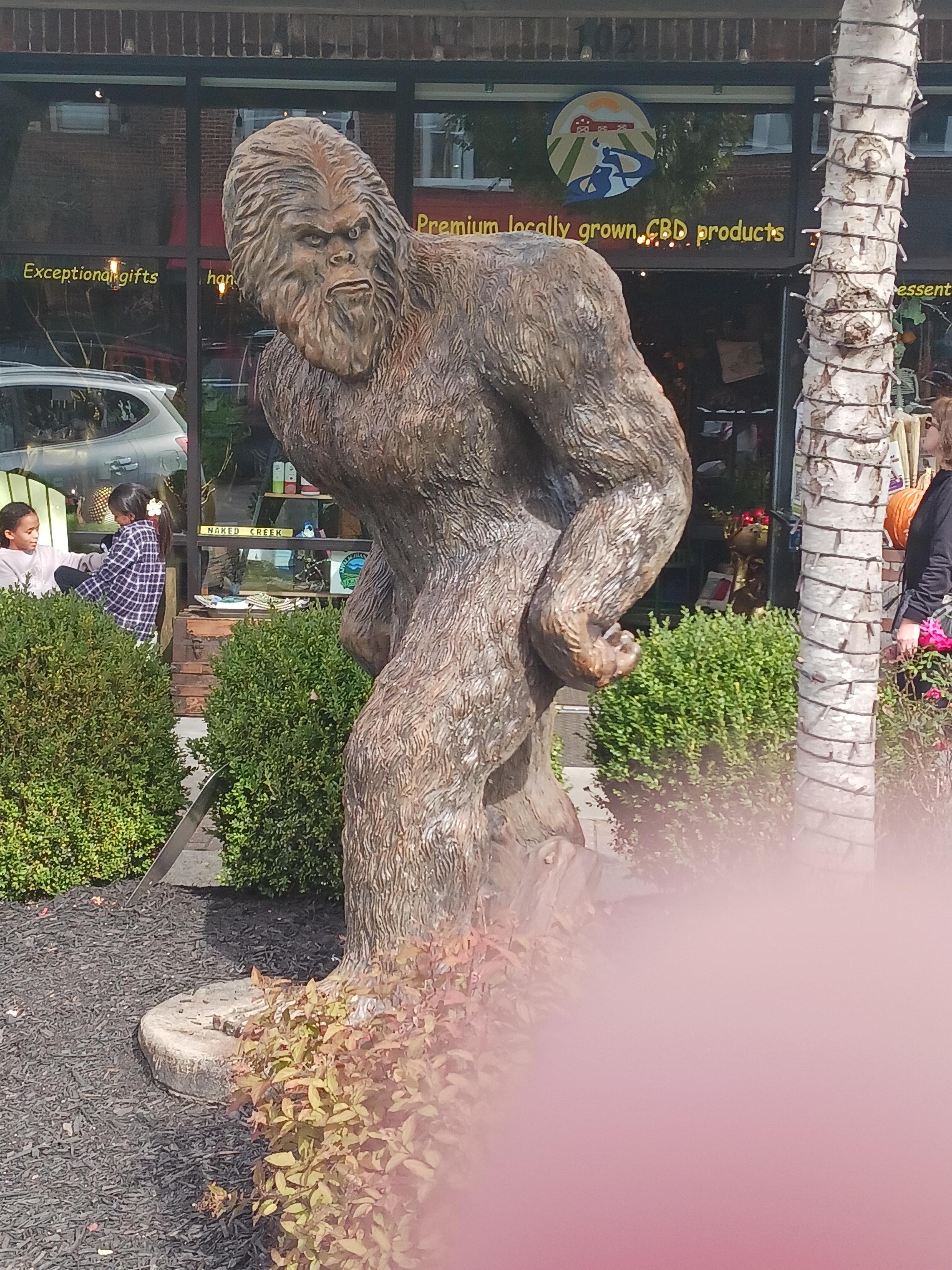 A visitor 10 mins up the road from Nation's Inn on Main Street, West Jefferson,  NC. 