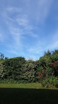 Der zu der Wohnung gehörige Garten