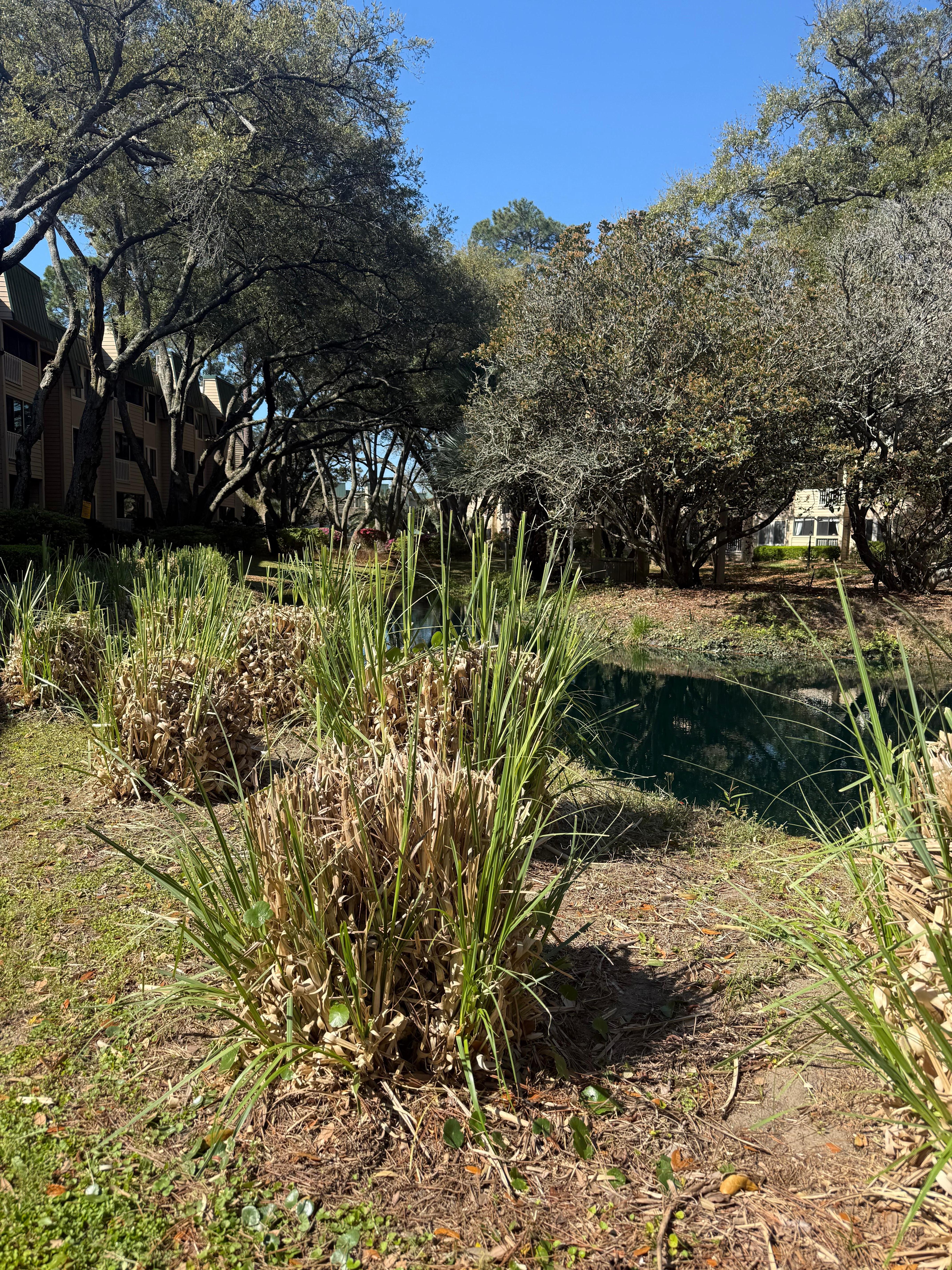Beautiful walking path through complex