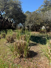 Beautiful walking path through complex