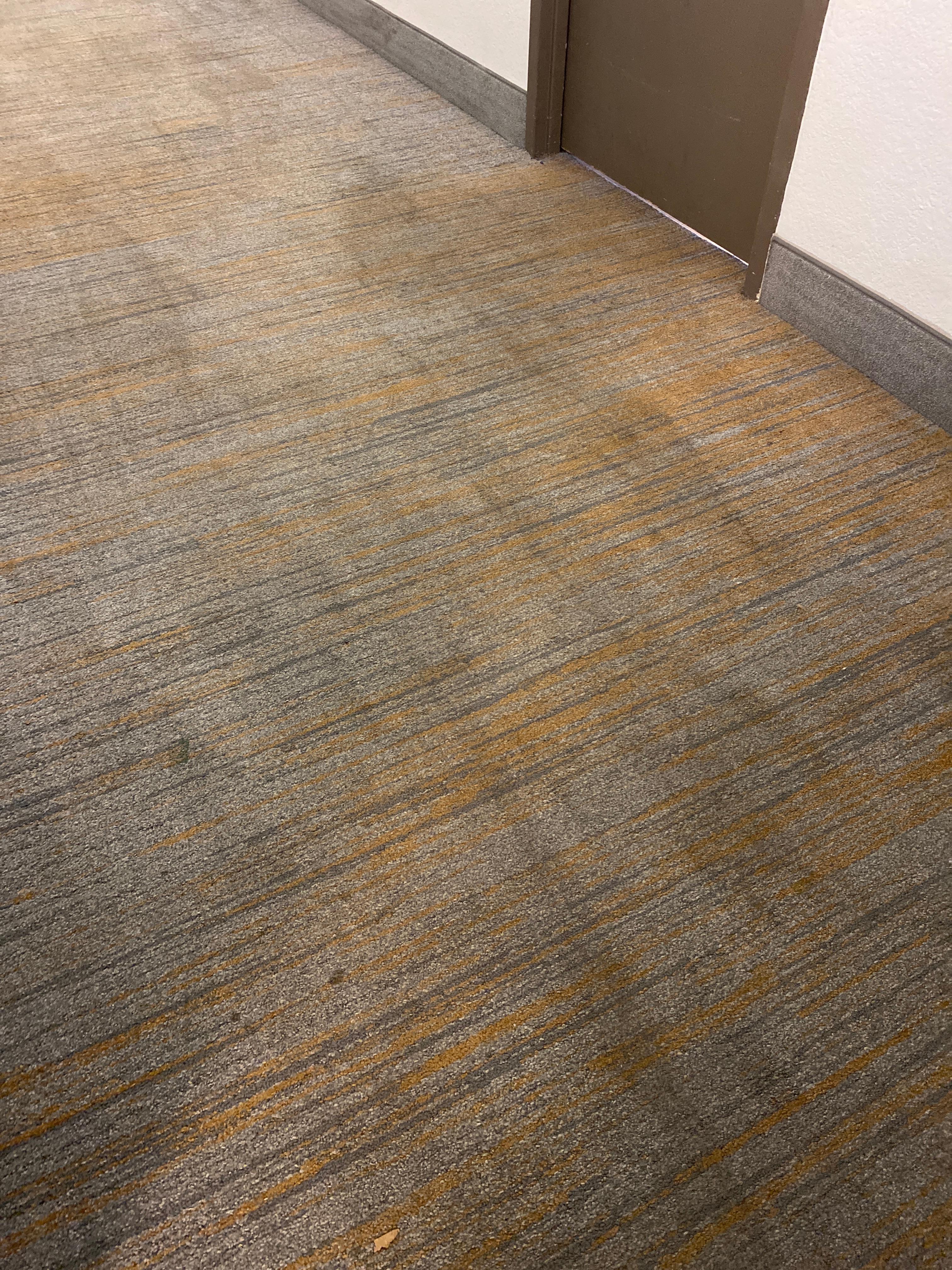 Carpet stained and the hallway smells bad! This the third floor. I was holding my breath.