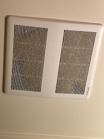 Major health hazard esp. for people like me with allergies and asthma. Obvious neglect on the part of the hosts.