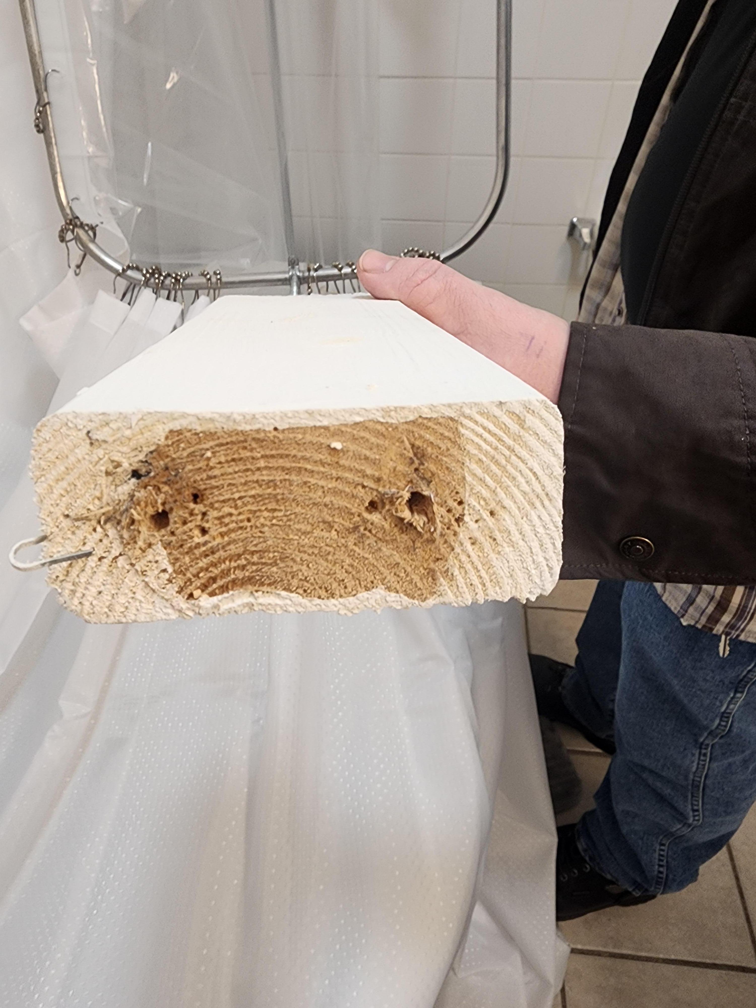 Shower curtain support 