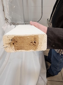 Shower curtain support