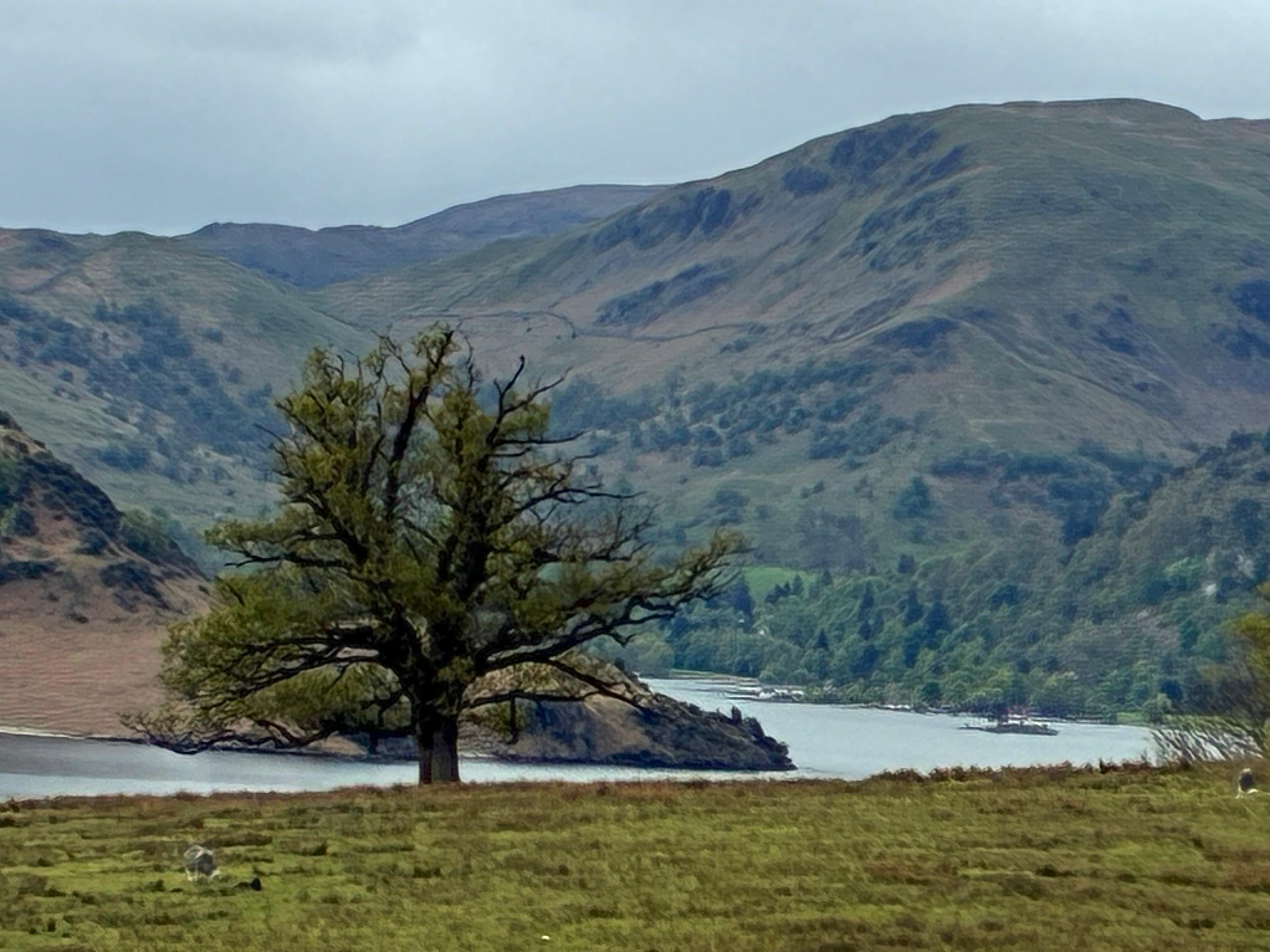 View nearby Aira Force waterfall