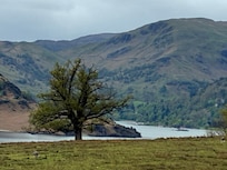 View nearby Aira Force waterfall