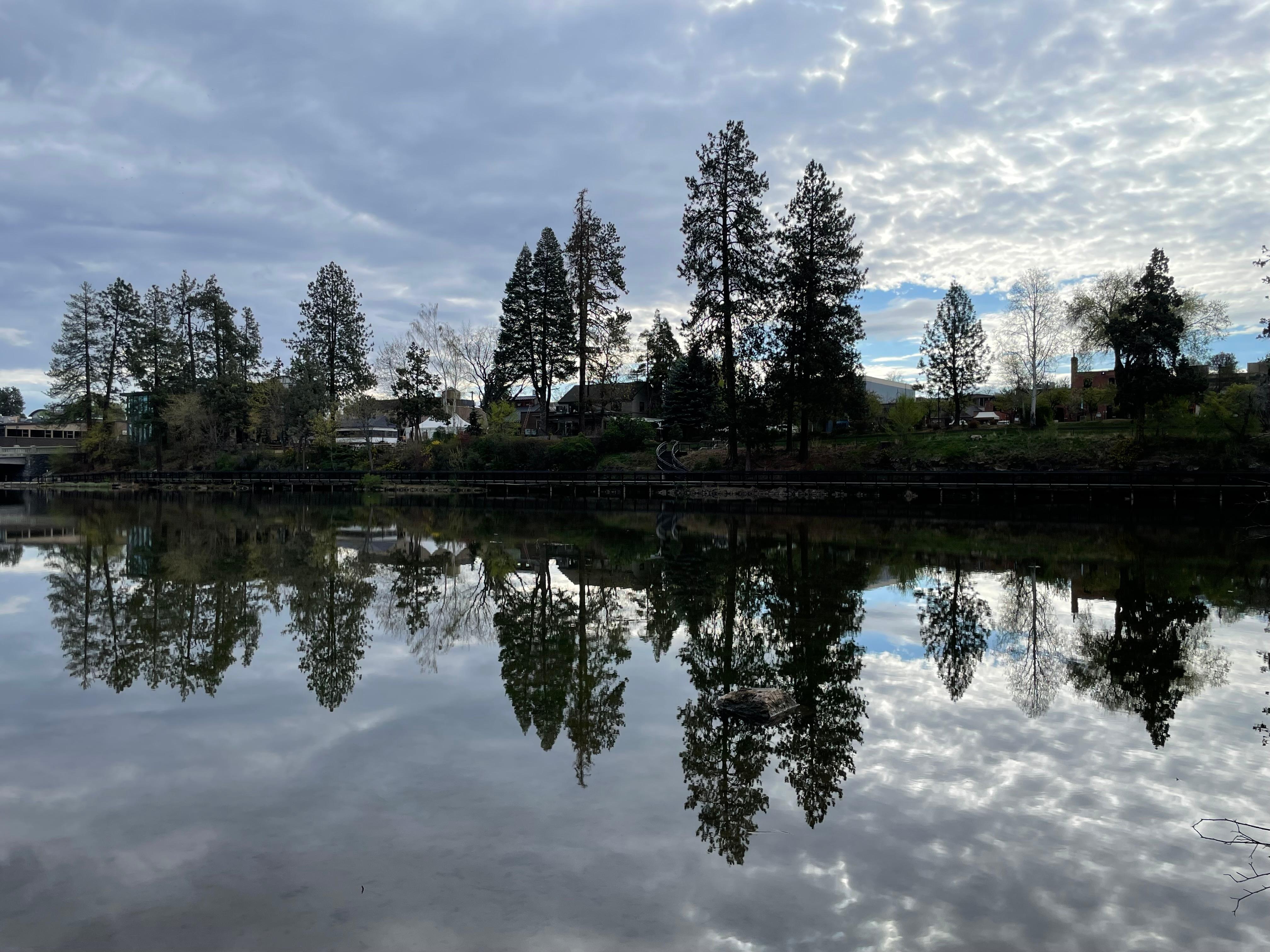 Morning shot from the backyard. 