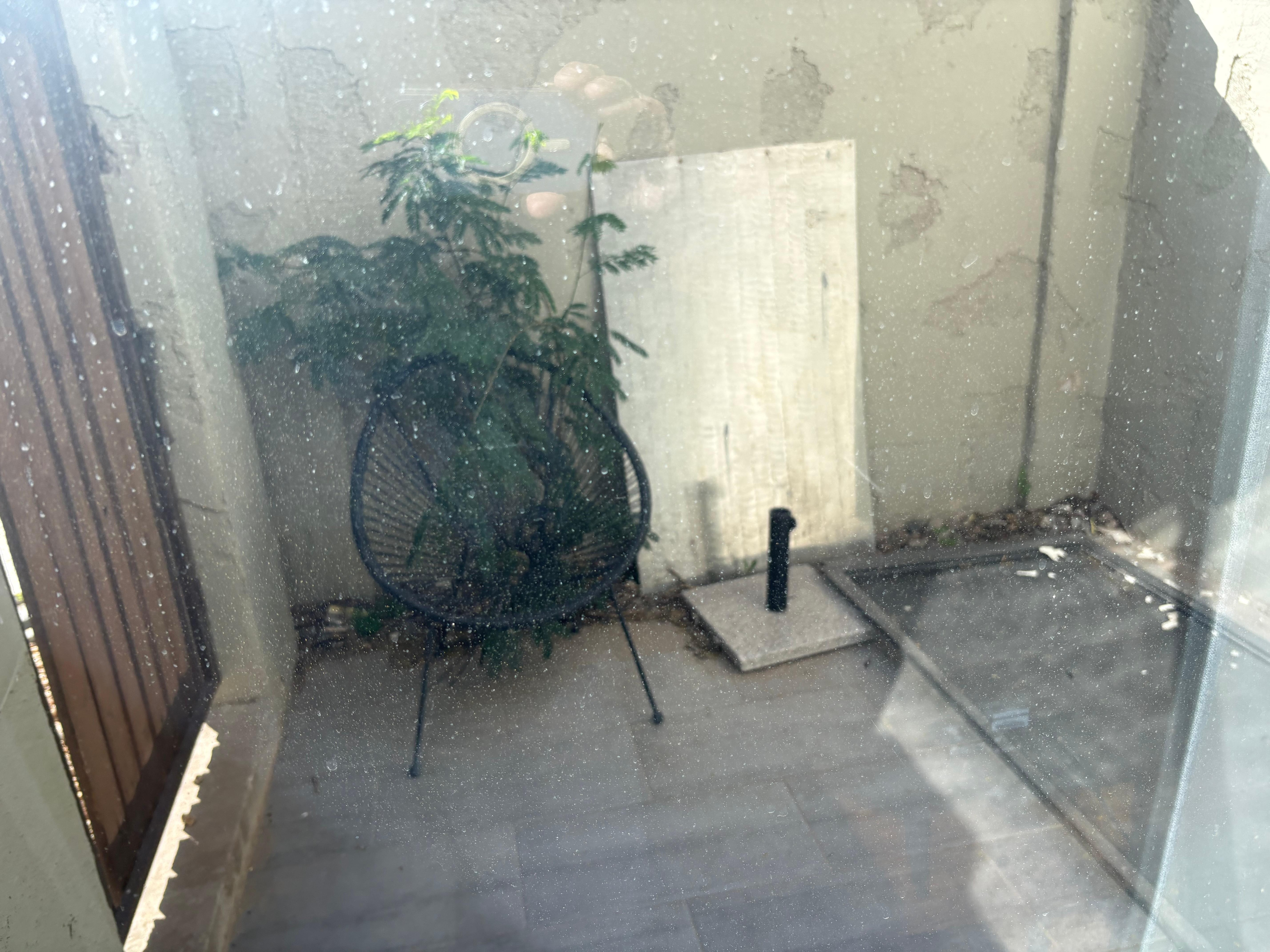 Main patio