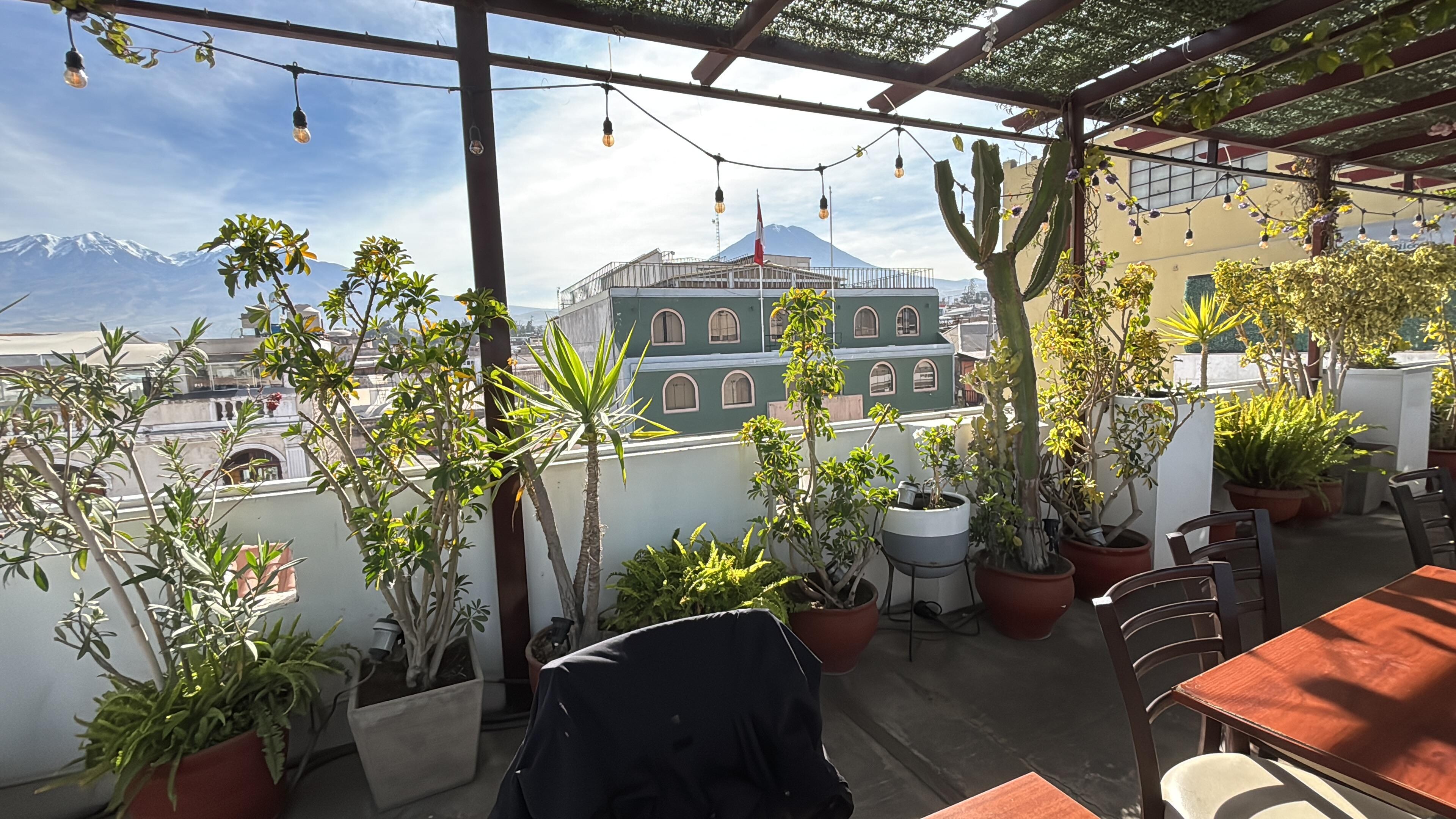 View from the rooftop