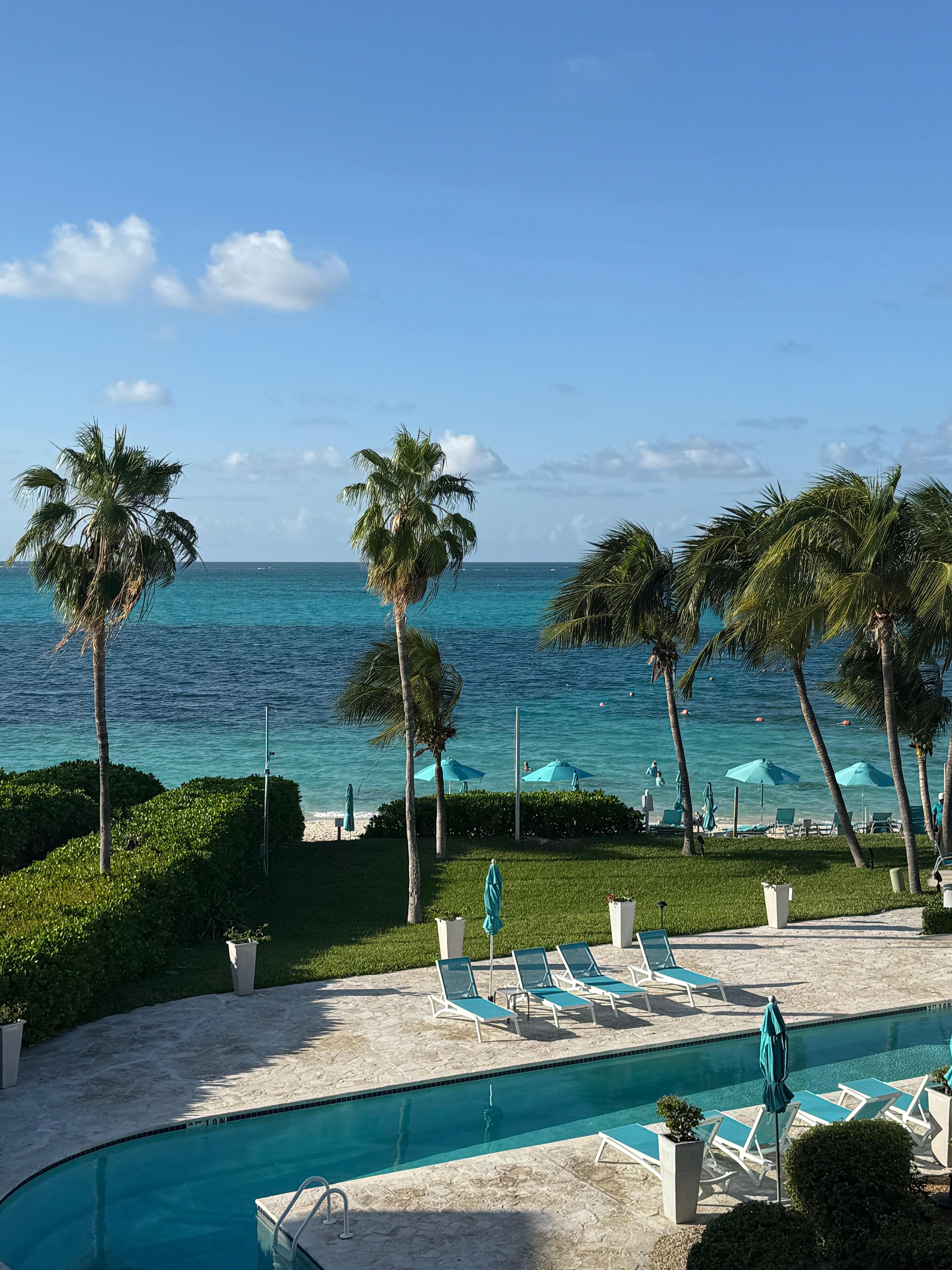 View from the living room