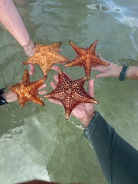 starfish point
