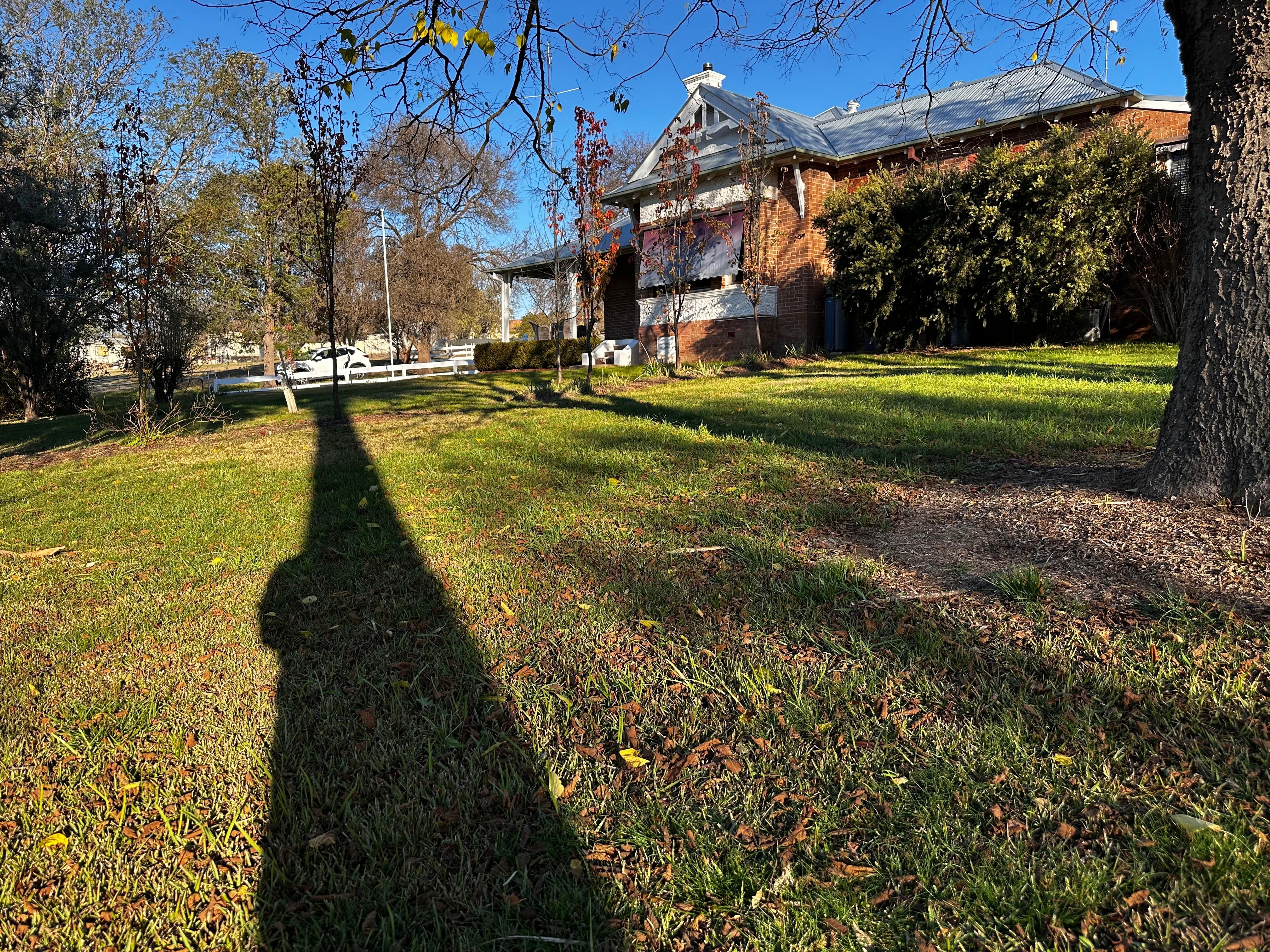 Side garden