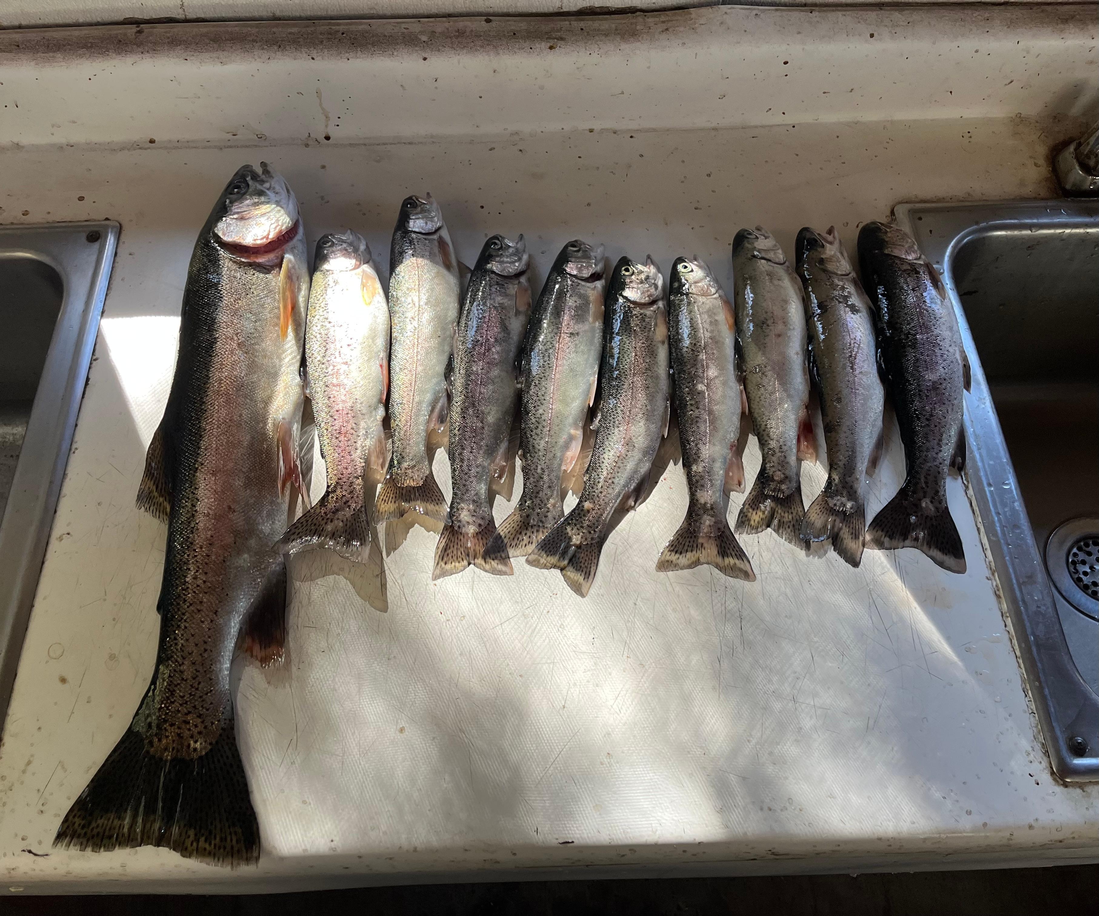 Day 2 - Limit reached