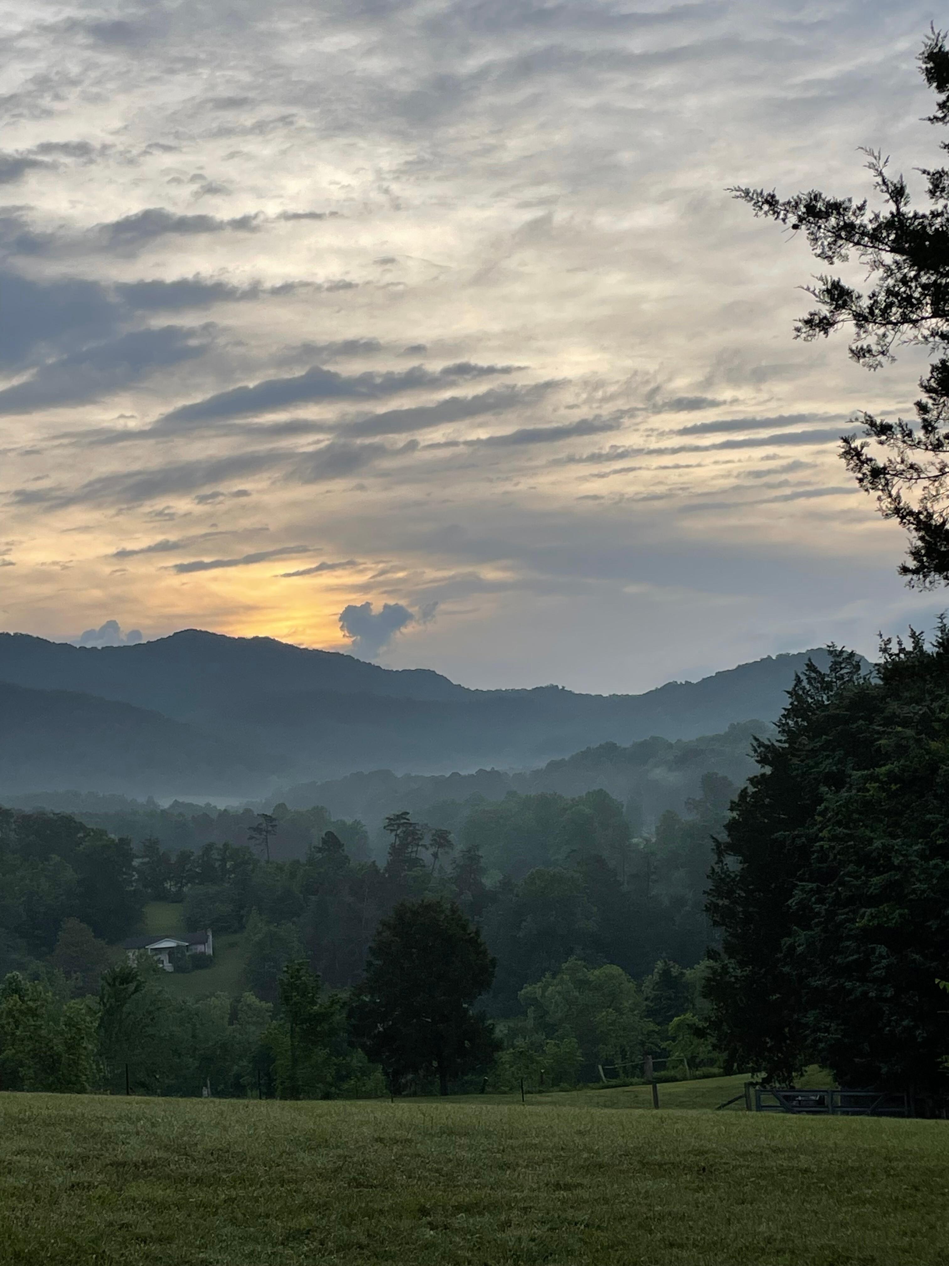 View from the porch
