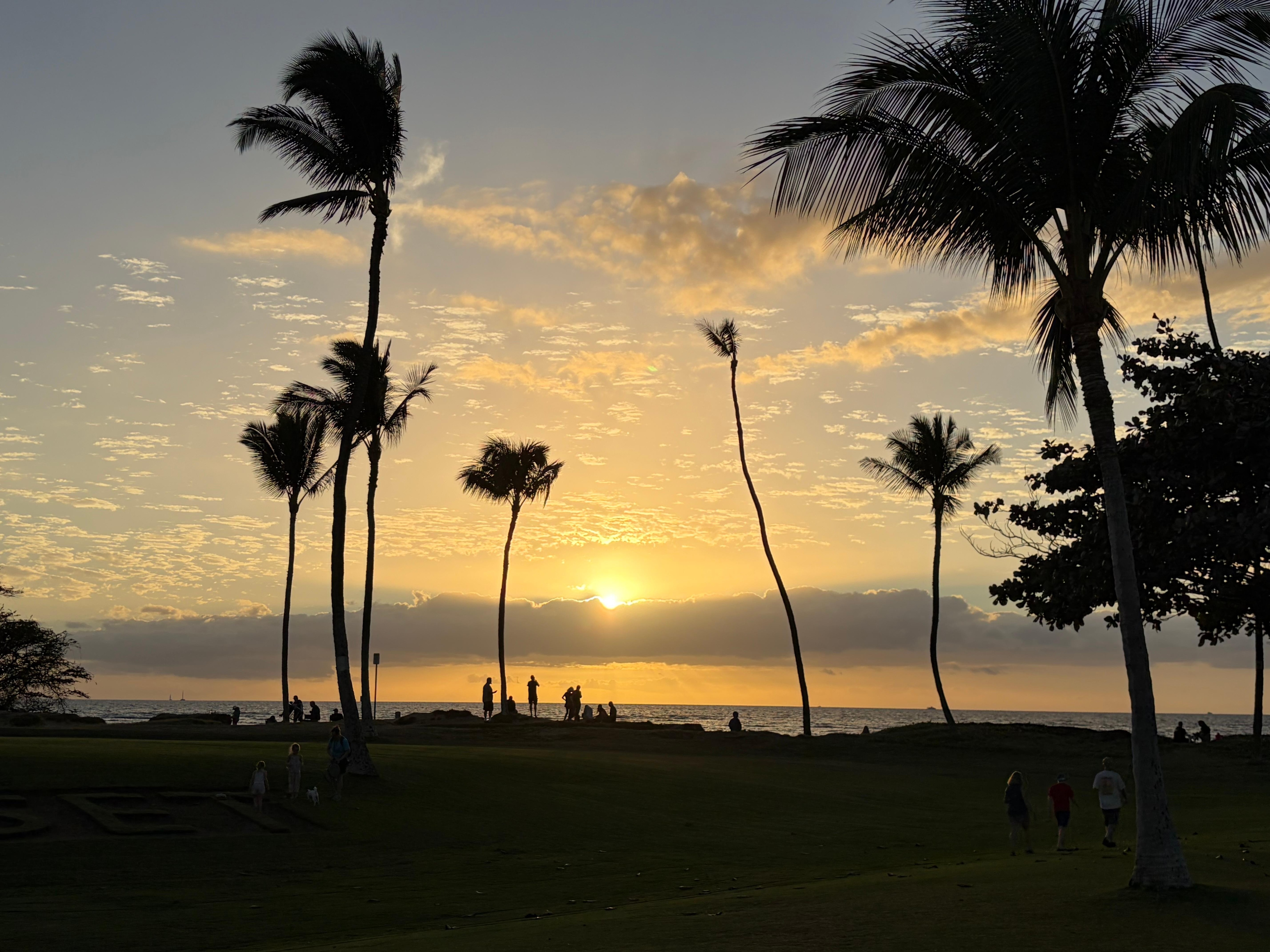 Sunset view from lawn